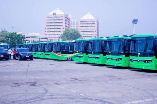 A fleet of green city buses lined up before departure